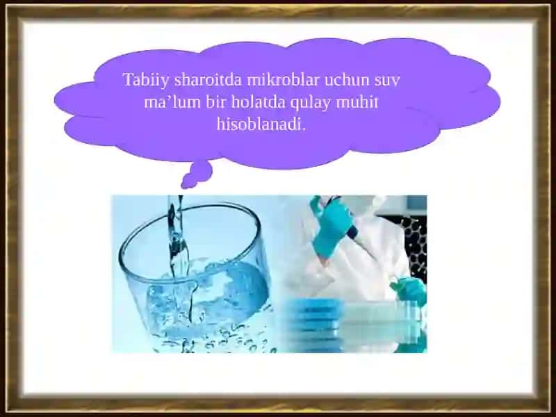 Mikroorganizmlar ekologiyasi. Suv, tuproq, havo mikraflorasi, ularni  o’rganish usullari. 2