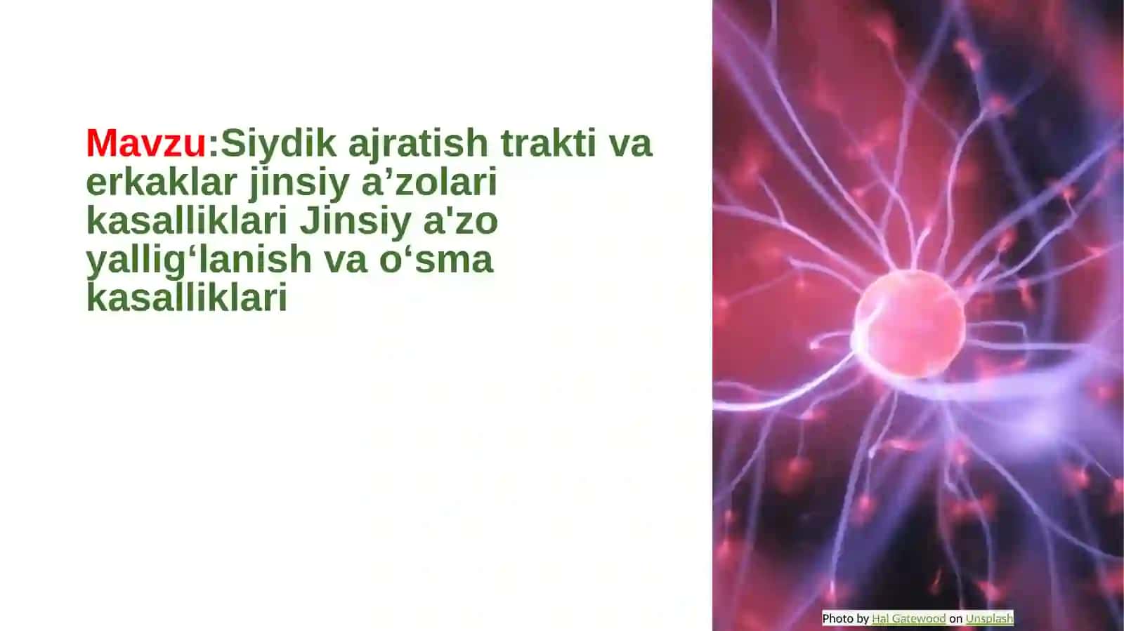 Siydik ajratish trakti va erkaklar jinsiy aʼzolari kasalliklari Jinsiy aʼzoyalligʻlanish vaoʻsmakasalliklari 2