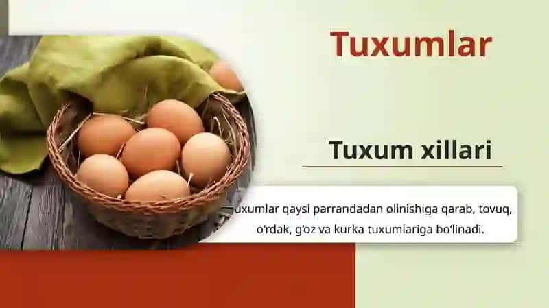 Tuxumlar turlari 2