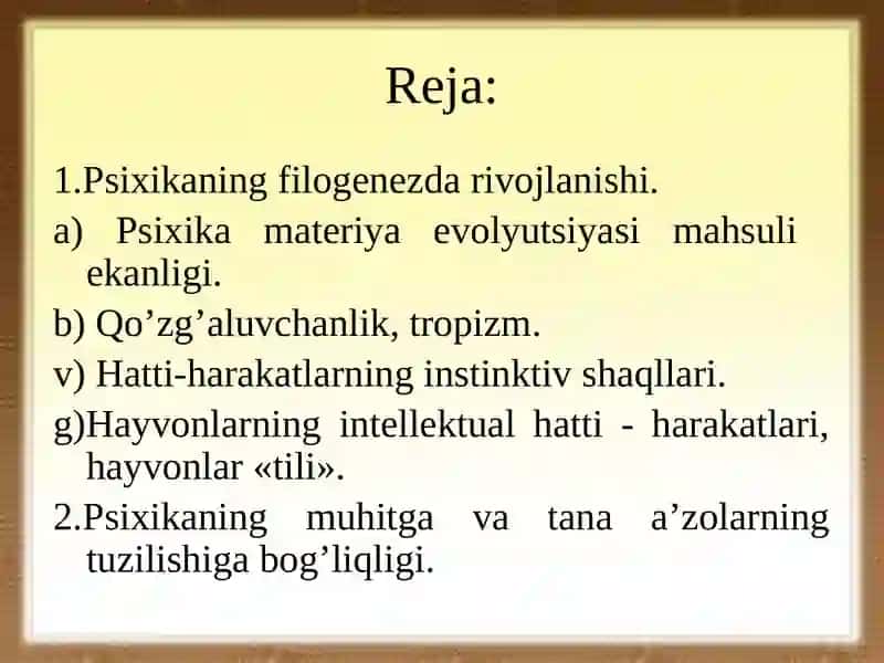 Psixikaning reflektor konsepsiyasi 2