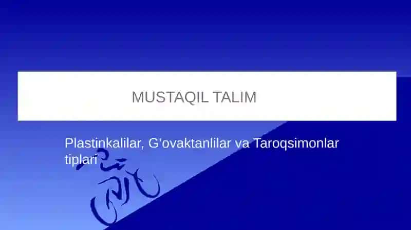 Mo’minova Nodiraning Zoologiya fanidan mustaqil talim topshirig’i 2