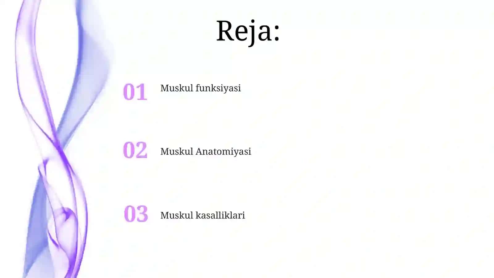 Muskul Anatomiyasi 2