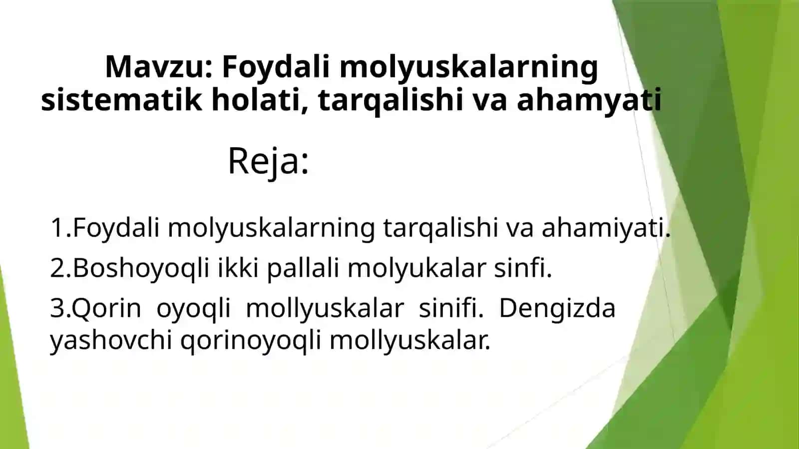 Foydali molyuskalar tarqalishi va ahamiyati 2