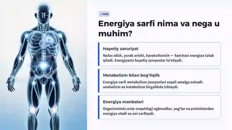 Organizmda energiya sarfi 2
