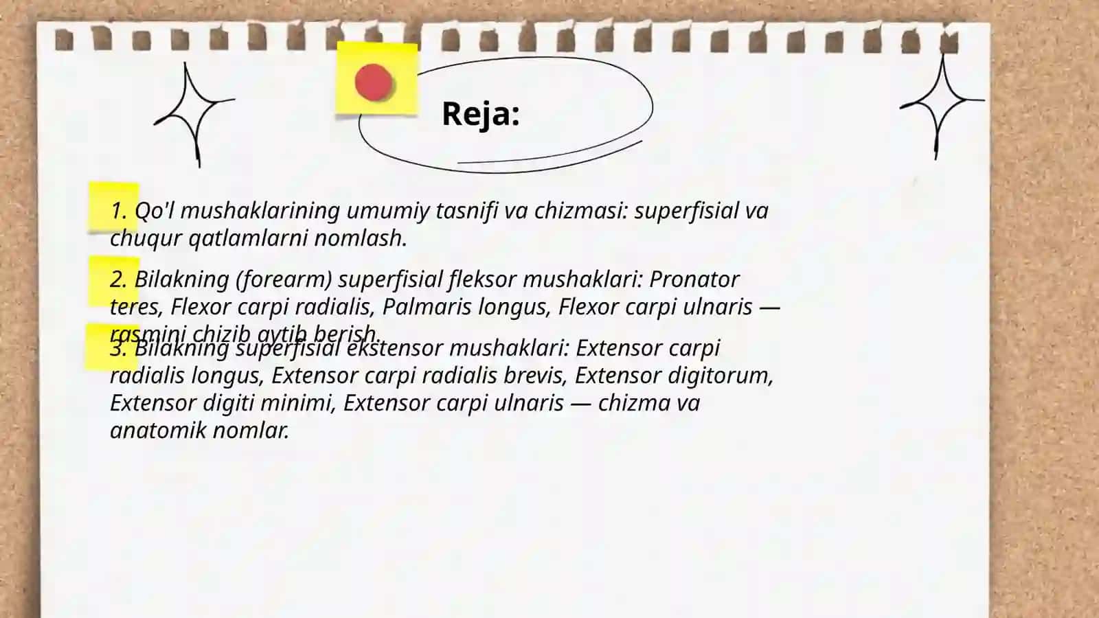 Qo'l mushaklarining anatomik nomlari va rasmini chizib aytib berish 2