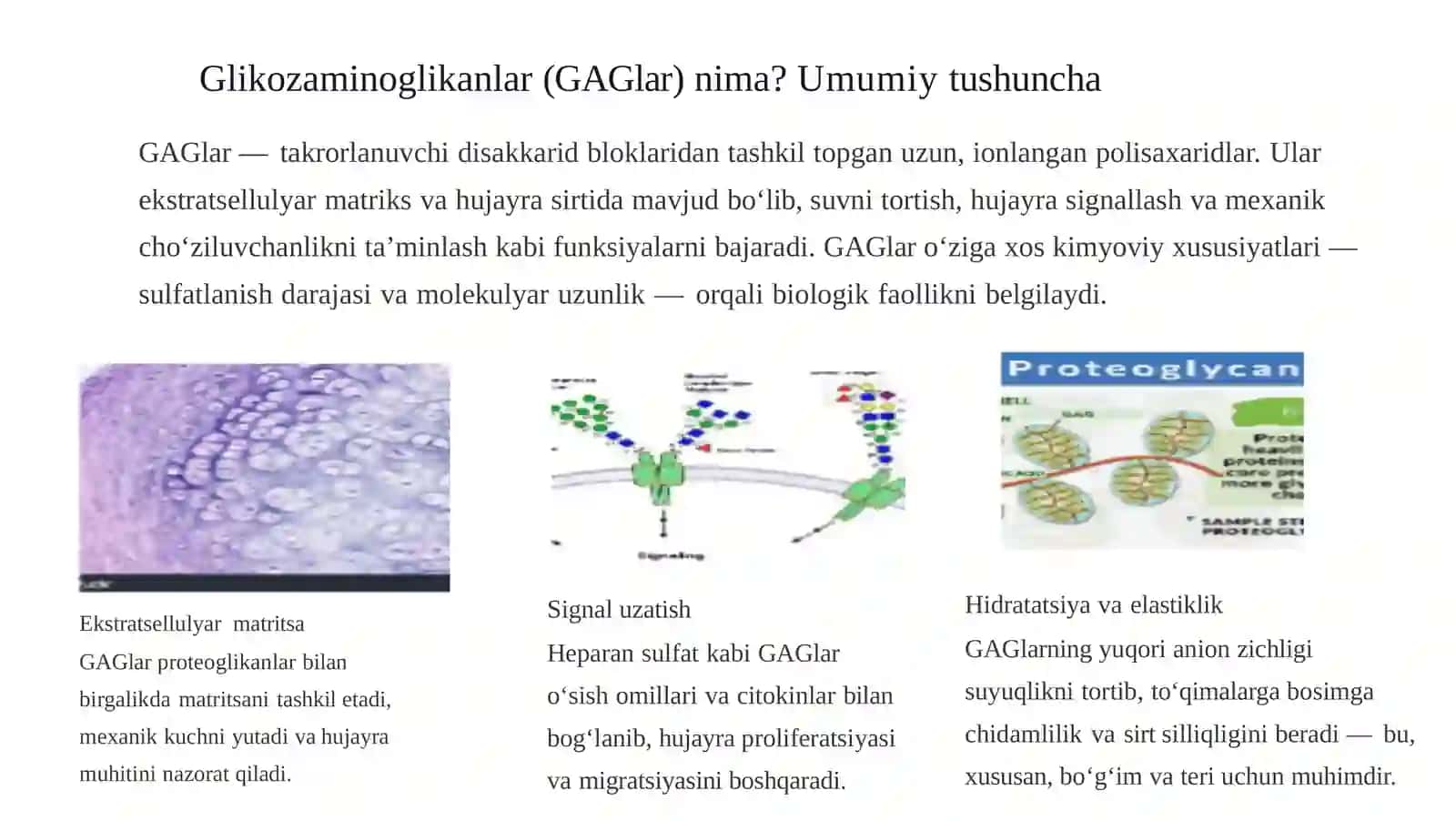 Glikozaminoglikanlarningtibbiyotdaqo'llanilishi:Kengqamrovlitahlil 2