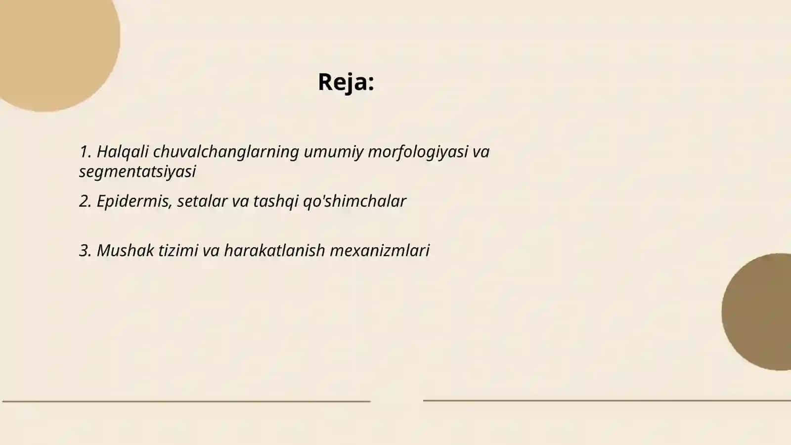 Halqali chuvalchanglar tipi vakillarining umumiy tavsifi va klassifikatsiyasi 2