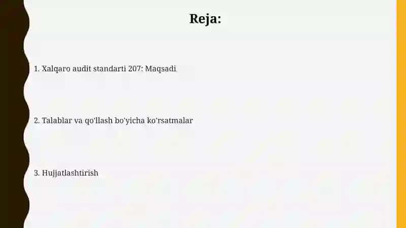 Xalqaro audit standartlari 207 2