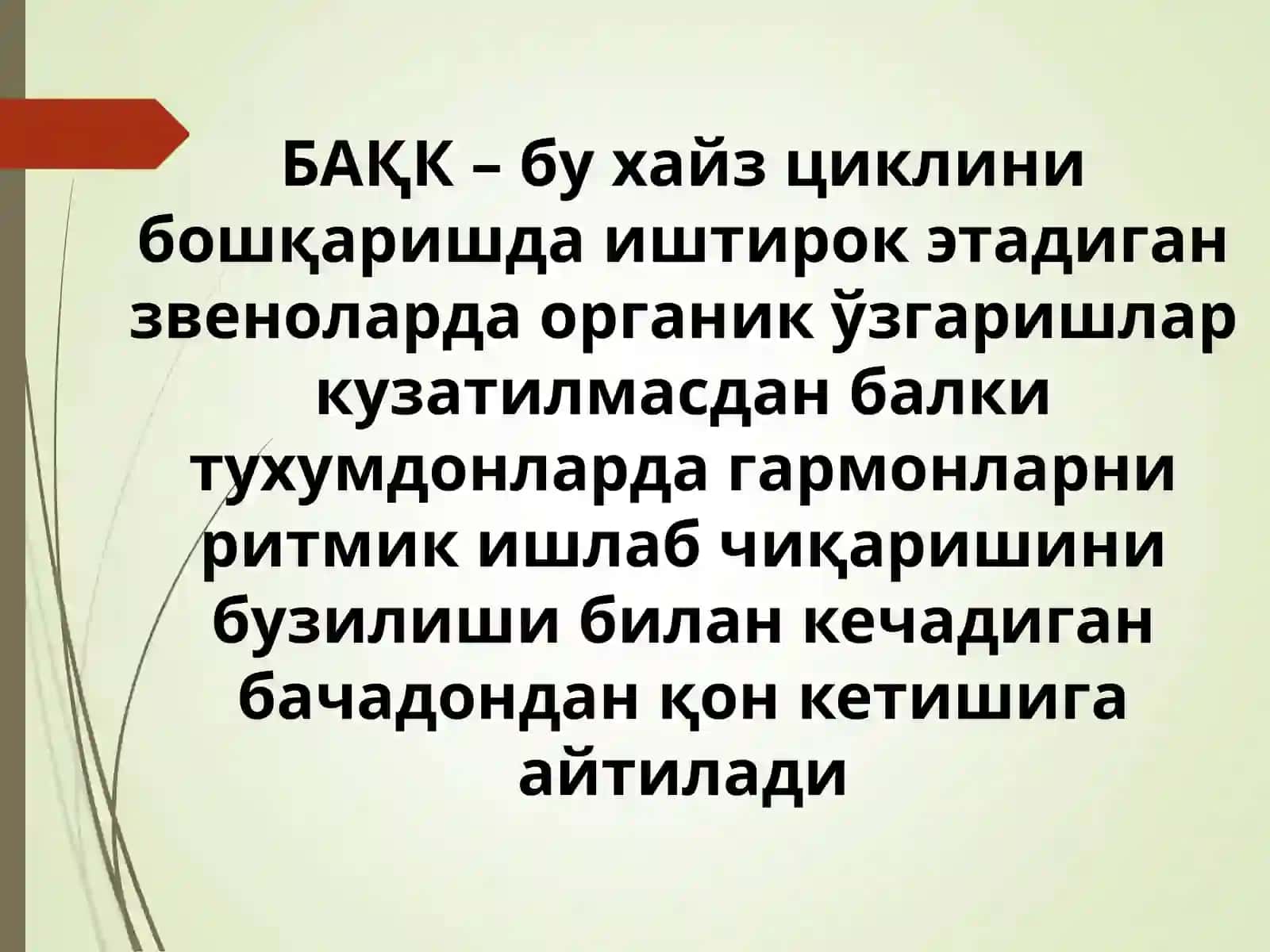 БАЧАДОНДАН АНОМАЛҚОН КЕТИШЛАР 2