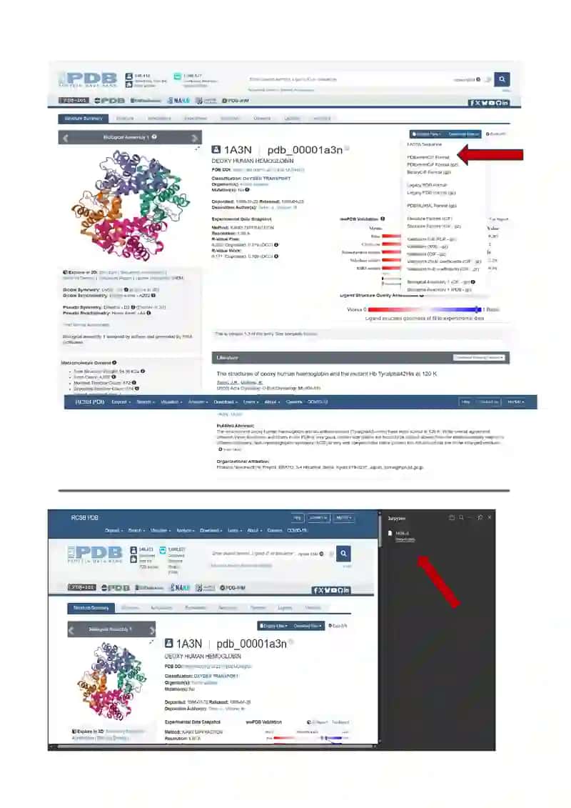PyMol va Raswin yordamida oqsil molekulalarining 3D ko‘rinishi 2