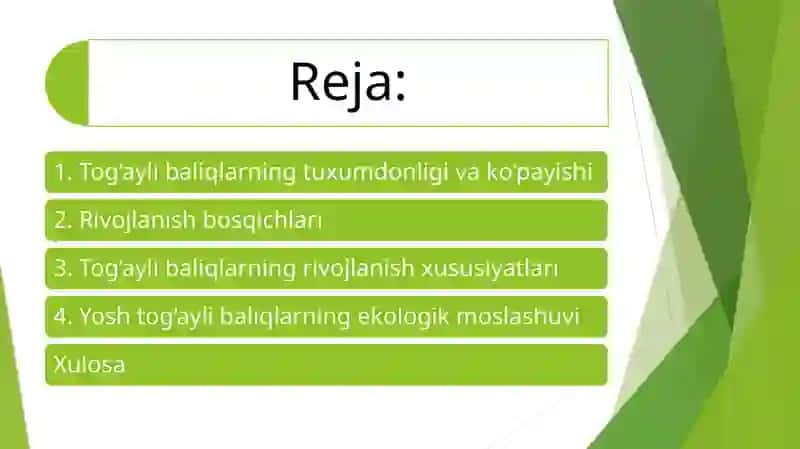 Tog‘ayli baliqlarning individual rivojlanish xususiyatlari 2