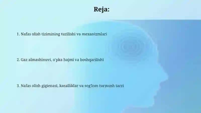 Nafas Olish Tizimi 2