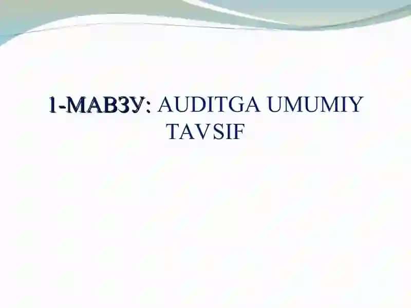 AUDITGA UMUMIY TAVSIF 2