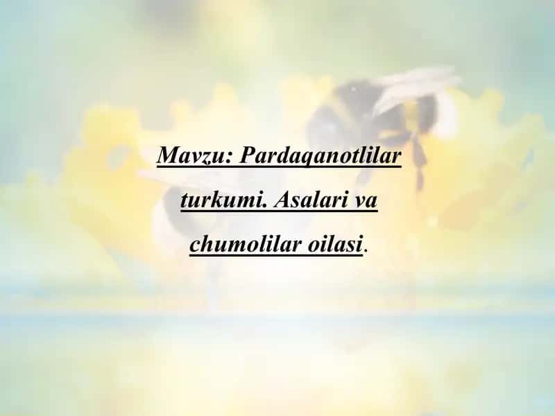 "Pardaqanotlilar turkumi. Asalarilar" 2