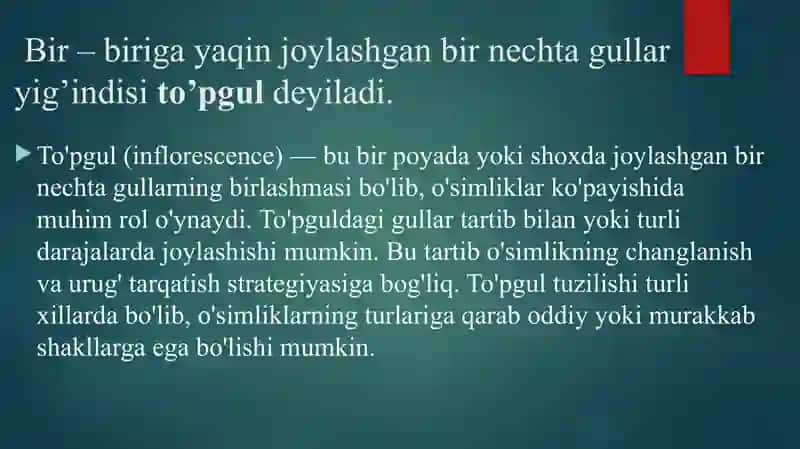 To'pgullar 2