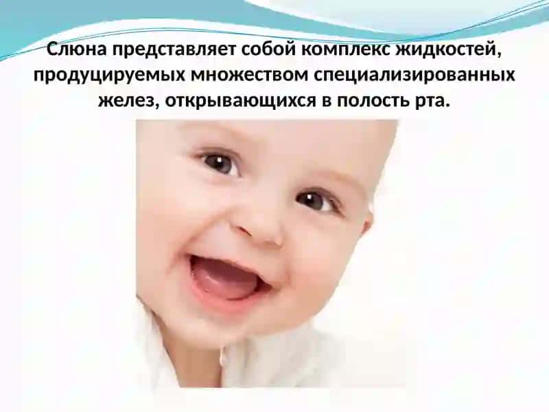 Слюна, Ротовая жидкость 2