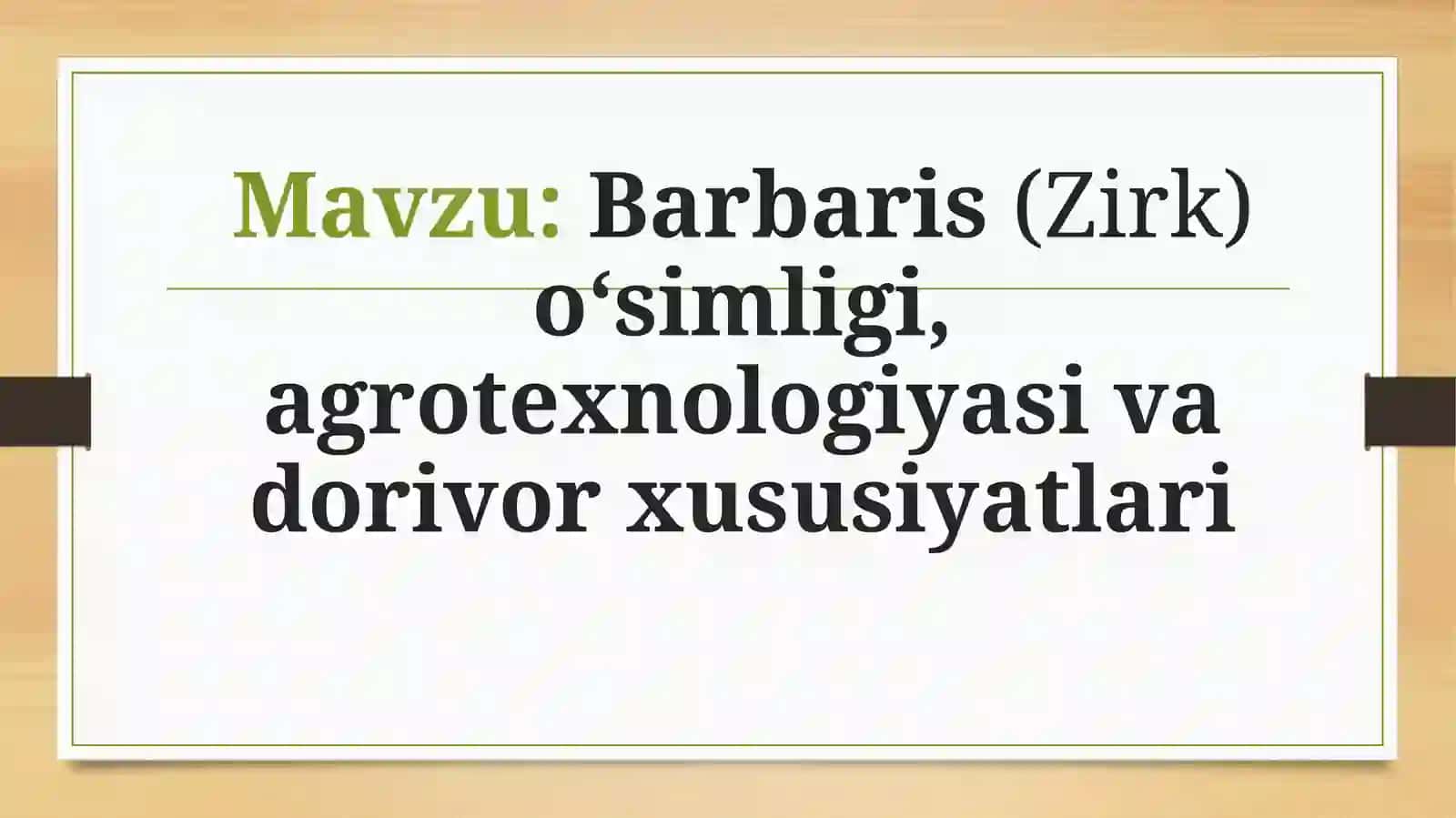Barbaris (Zirk) oʻsimligi, agrotexnologiyasi va dorivor xususiyatlar 2