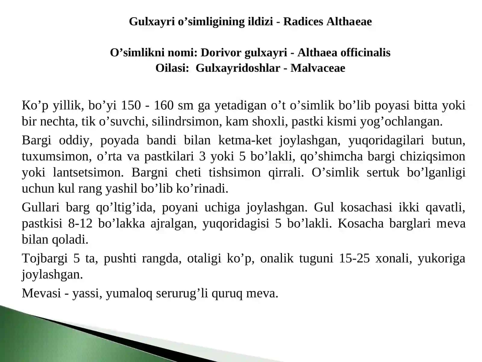 O'simlik haqida ma'lumot 2