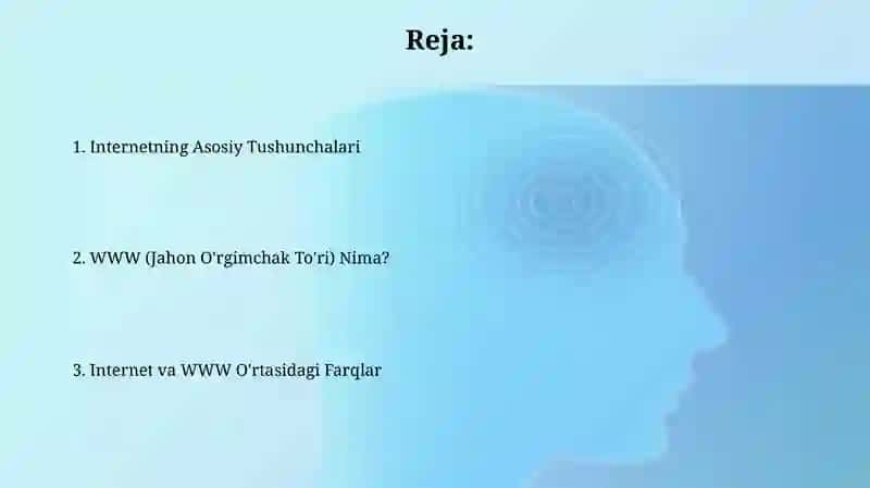 Internet va WWW (World Wife Web) tushunchalari 2