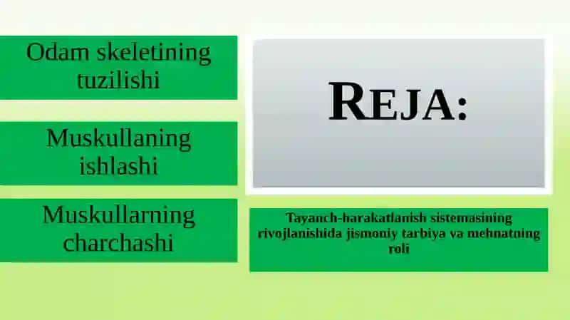 Tayanch-harakatlanish sistemasining rivojlanishi va jismoniy mehnatning ahamiyati 2