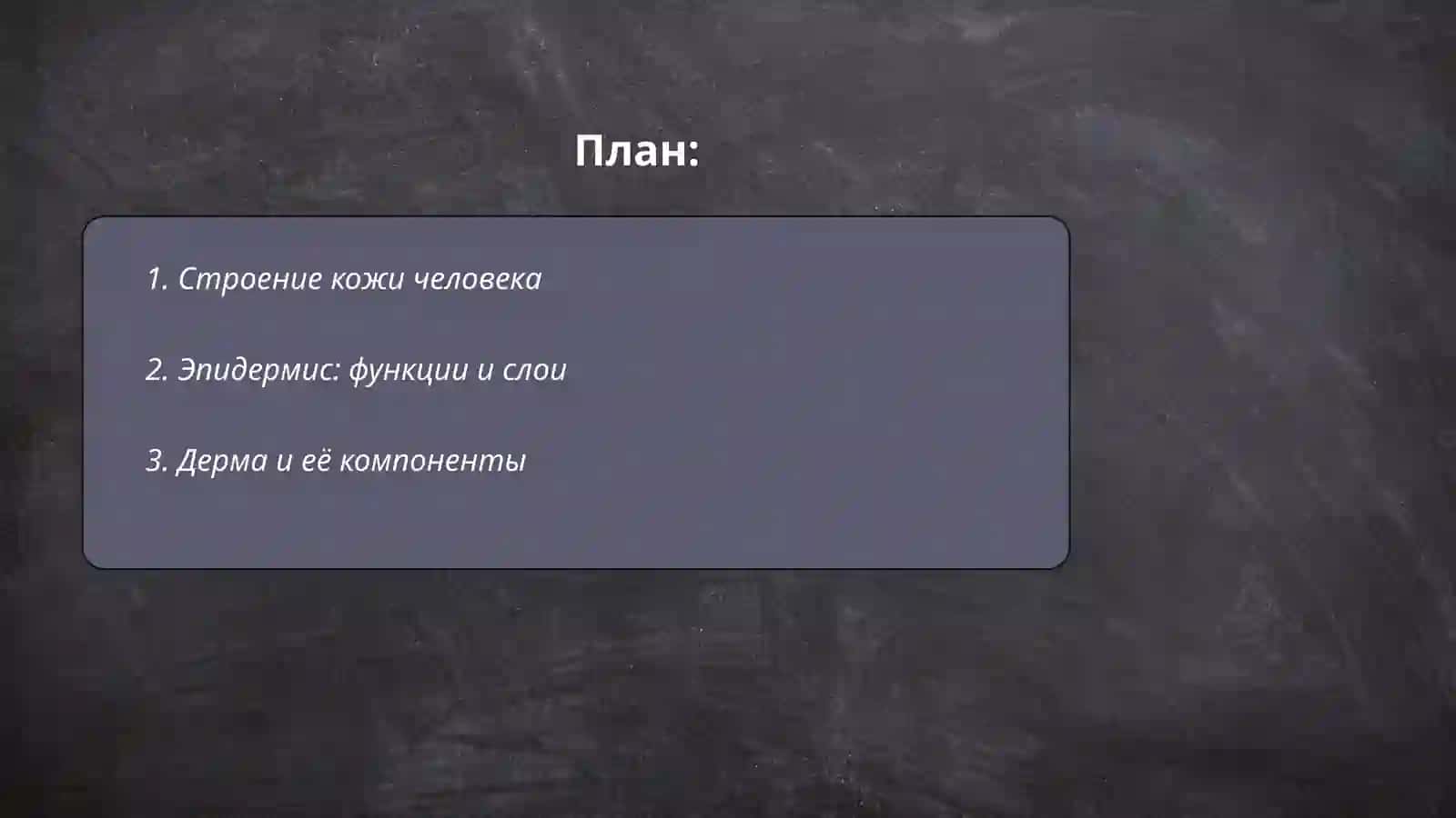 Строение и состав коже 2