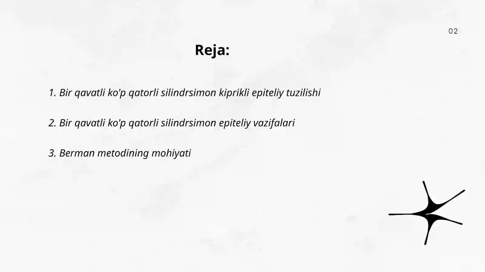 Bir qavatli ko'p qatorli silindrsimon kiprikli epiteliy 2