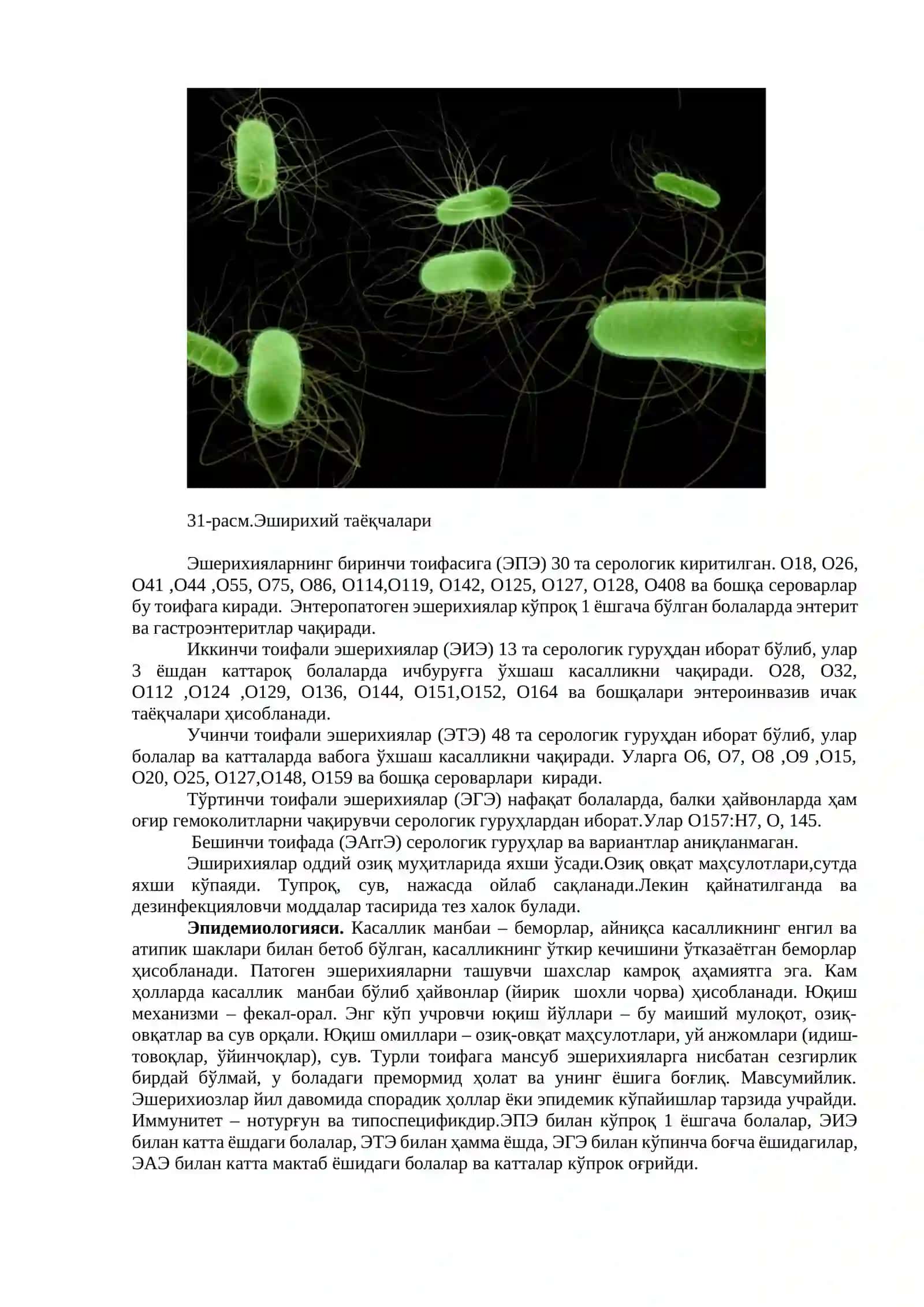 Эшерихиозлар 2