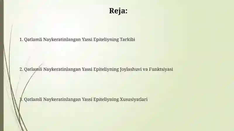 Qatlamli Naykeratinlangan Yassi Epiteli 2