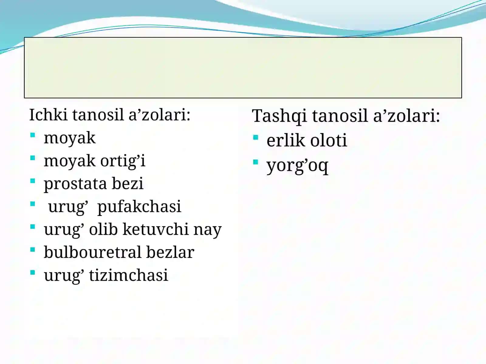 ERKAKLAR JINSIY SISTEMASI A’ZOLARI.ORALIQ 2