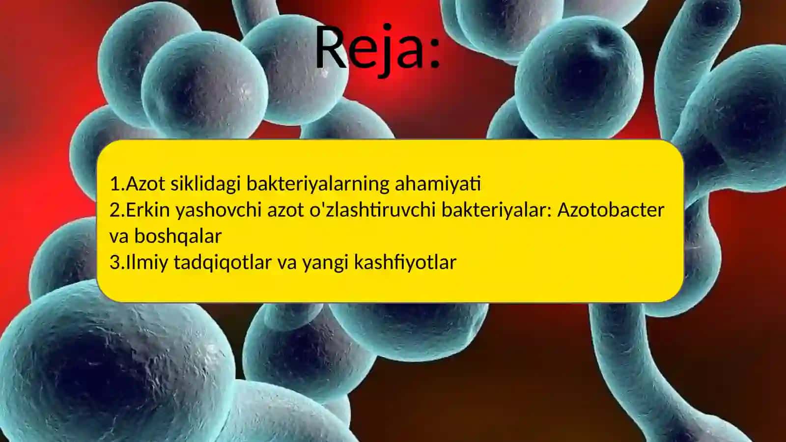 Azot oʻzlashtiruvchi bakteriyalar 2