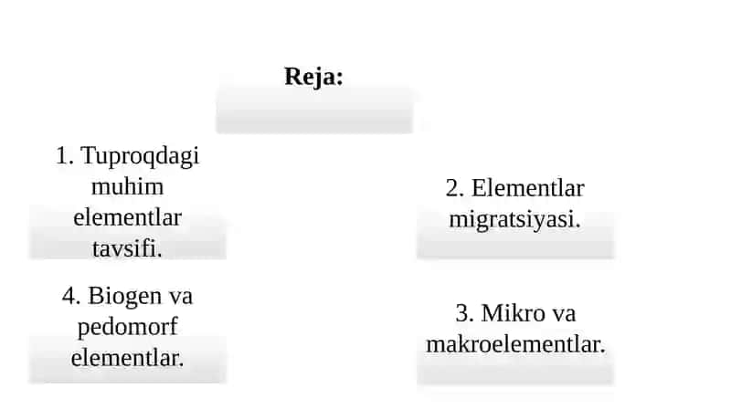 Tuproqdagi muhim elementlar tavsifi, migratsiyasi, mikro, makro, biogen va pedomorf elementlar 2
