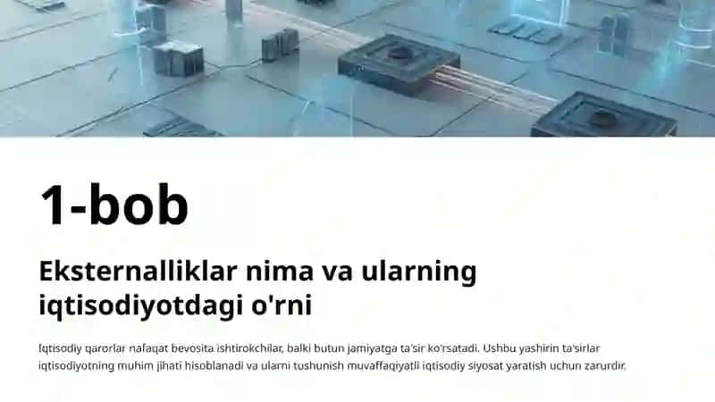Eksternalliklar va ularni tartibga solish: Iqtisodiyotdagi yashirin ta'sirlar 2