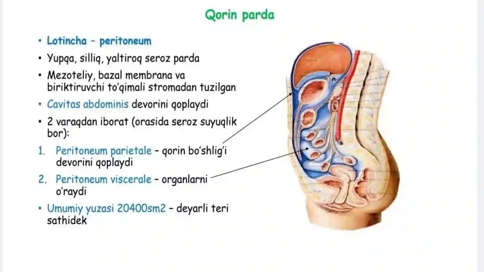 Qorin parda 2