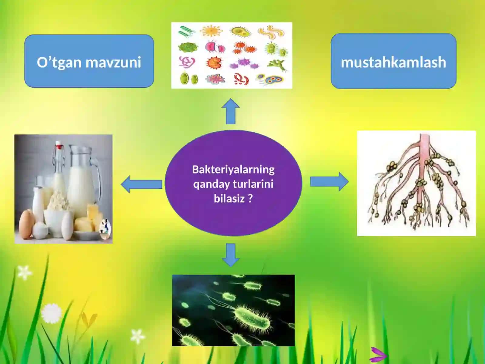 5-sinf Biologiya, Botanika fanidan Zamburug'lar dunyosi dars ishlanma 2