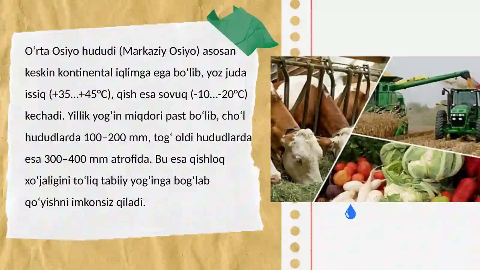 O‘rta Osiyo qishloq xo‘jaligi geografiyasi 2