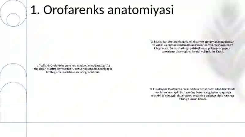 Bolalarda OgʻIz Halqum QiziloʻNgach Anatomo-Fiziologik Xususiyatlari 2