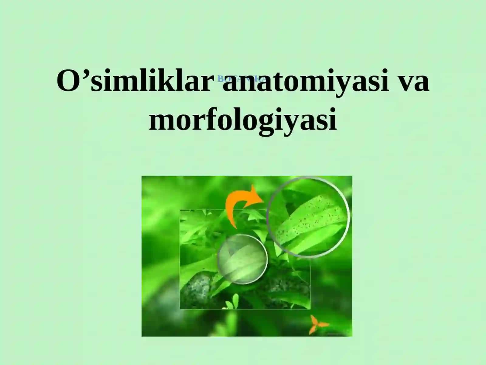 Botanika va o’simliklar fiziologiyasi 2