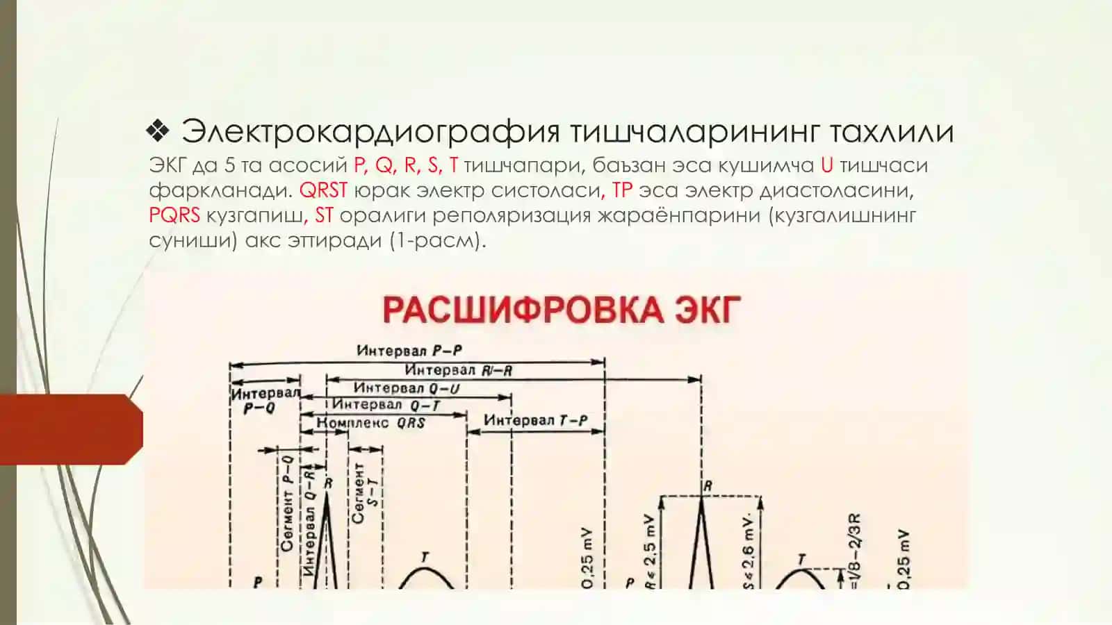 EKG YOZUVI RASSHIFROVKASI 2