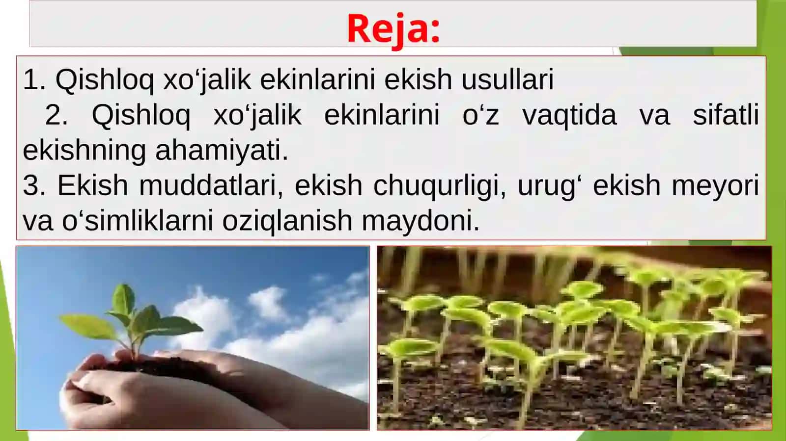 QISHLOQ XO‘JALIK EKINLARINI EKISH USULLARI 2