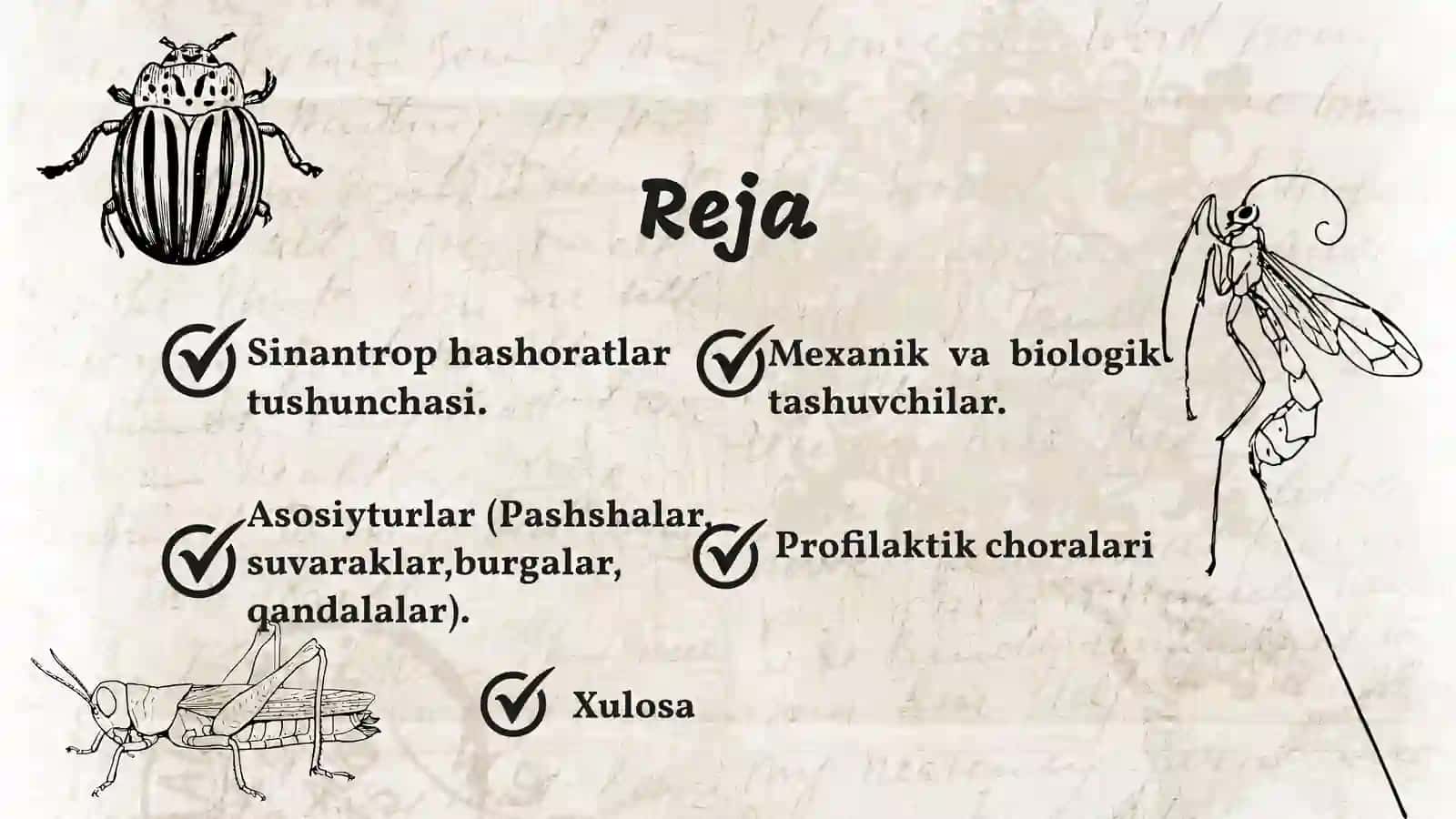 Sinantrop hashoratlarning epidemiologik ahamiyati 2