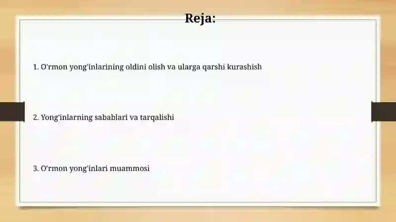 O'rmonlardagi yong'inlar muammosi 2