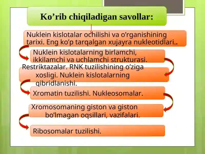 NUKLEIN KISLOTALAR TUZILISHI VA FUNKSIYALARI 2