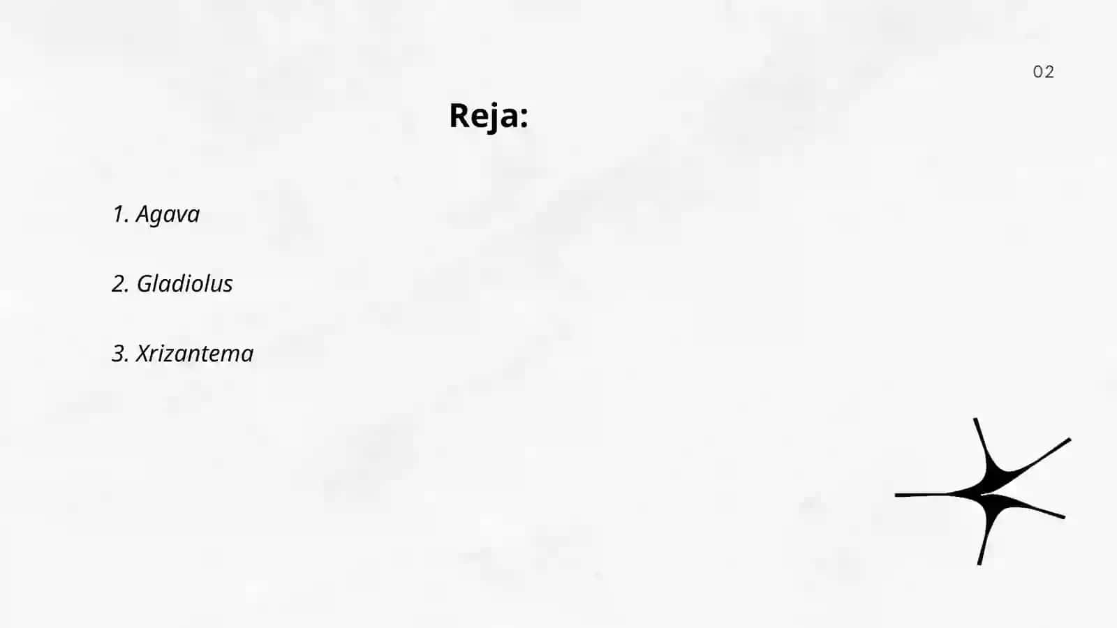 Agava 2