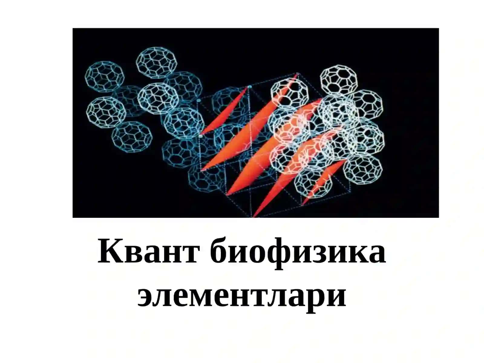 Квант биофизика элементлари 2