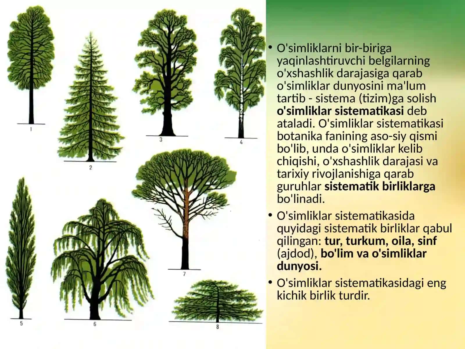 6-sinf Botanika O'simliklar sistematikasi haqida 2