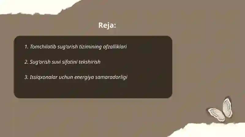 Tomchilatib sug'orish loyihasi 2