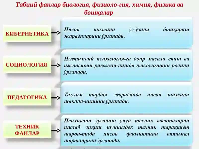Ҳозирги замон психологиясининг тузилиши 2