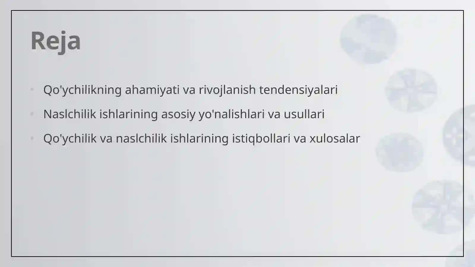 Qo'ychilik va naslchilik ishlari 2