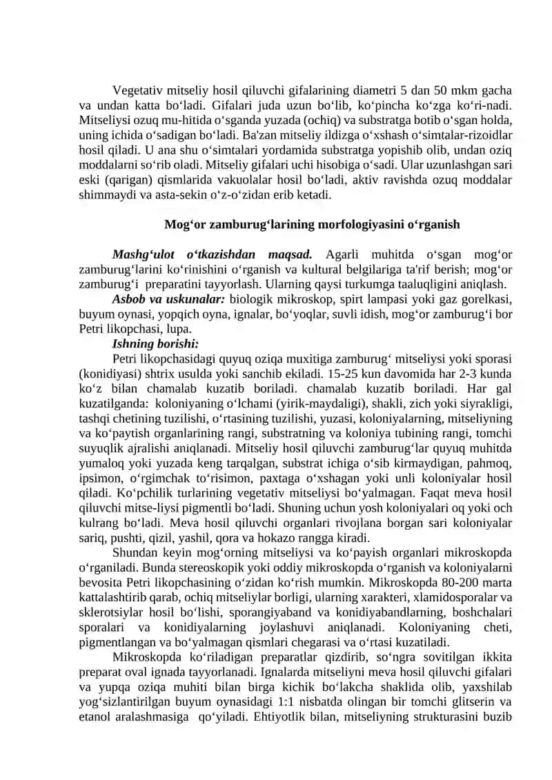 Mog‘or zamburug‘lari morfologiyasini o‘rganish 2