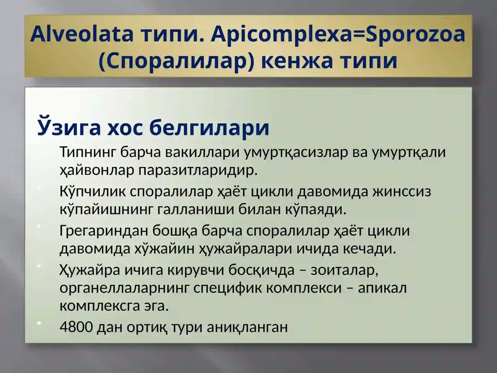 Protozoa кенжа дунёси (Бир ҳужайралилар) 2